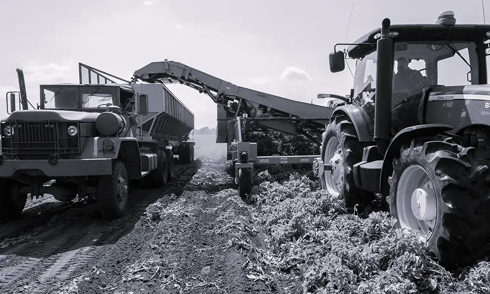 Agriculture
